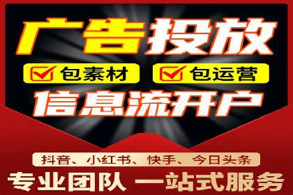成功案例：网络推广与竞价广告的完美结合